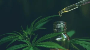 Read more about the article Kaj je kanabidiol (CBD)? Celovit vodnik
