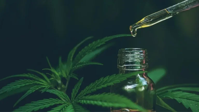 Read more about the article Kaj je kanabidiol (CBD)? Celovit vodnik